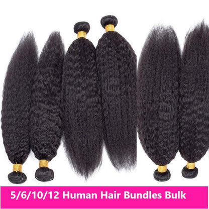 Wholesale 5/6/10/12 Bundles Brazilian Kinky Straight 10A Grade Human H